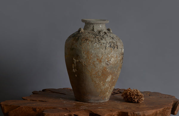 Large shipwreck Sawankhalok Pot with Shell Encrustations and Traces of Old brown Glaze