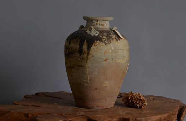 Large shipwreck Sawankhalok Pot with Shell Encrustations and Traces of Old brown Glaze