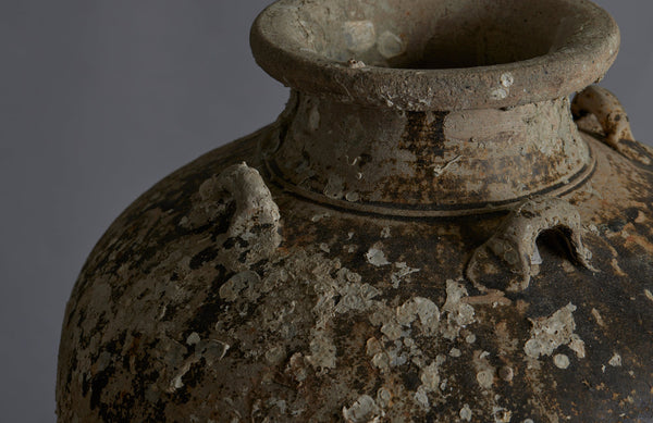 Large shipwreck Sawankhalok Pot with Shell Encrustations and Traces of Old brown Glaze