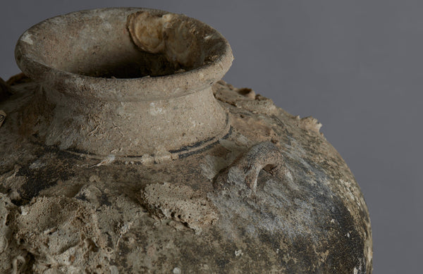 Extra Large Sawankhalok Shipwreck Pot with Oyster Shell Encrustations
