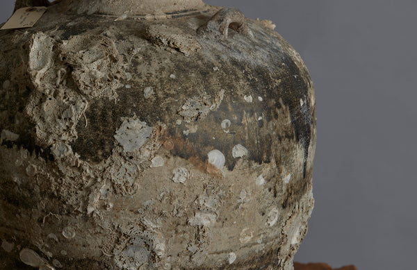 Extra Large Sawankhalok Shipwreck Pot with Oyster Shell Encrustations