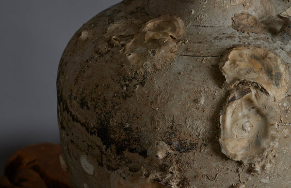 Extra Large Sawankhalok Shipwreck Pot with Oyster Shell Encrustations