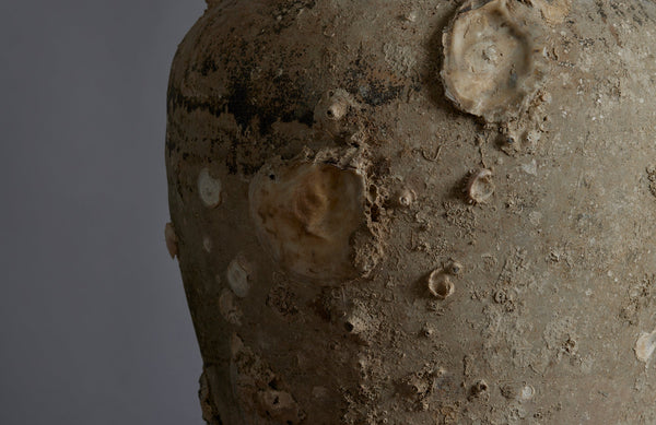 Extra Large Sawankhalok Shipwreck Pot with Oyster Shell Encrustations