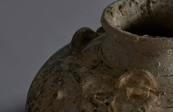 Extra Large Sawankhalok Shipwreck Pot with Oyster Shell Encrustations