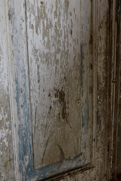A Pair of 18th Century Dutch Colonial Cupboard Doors from Jakarta