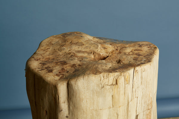 247kg Petrified Log from Borneo