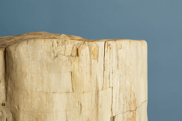247kg Petrified Log from Borneo