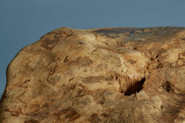 247kg Petrified Log from Borneo