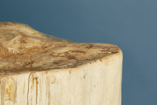 247kg Petrified Log from Borneo