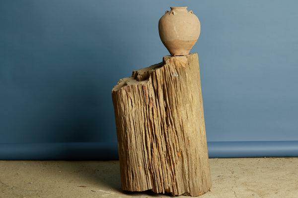 Large Petrified Log from Borneo