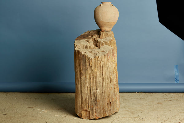 Large Petrified Log from Borneo