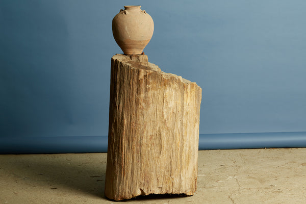 Large Petrified Log from Borneo