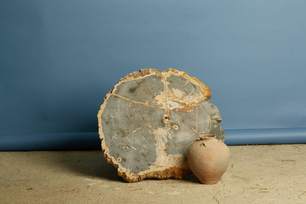 Large Black & Cream Colored Slice of Petrified Wood from Borneo