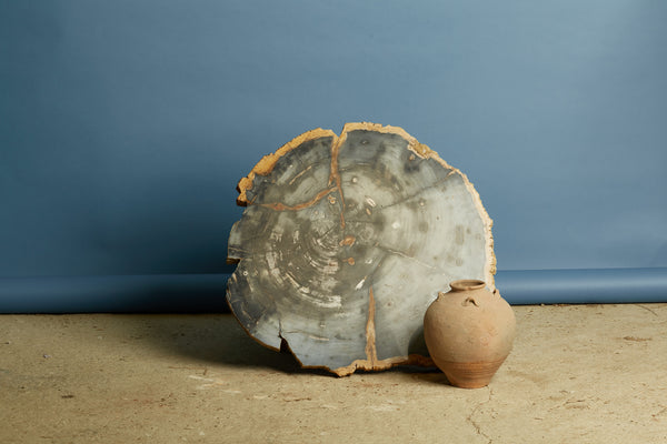 Large Black & Cream Colored Slice of Petrified Wood from Borneo