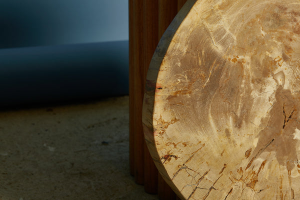 Beige Colored Slice of Petrified Wood from Borneo