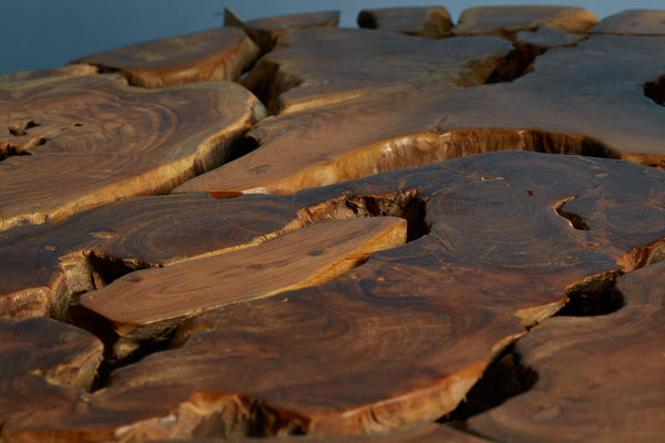 Natural Round Teak Branch Coffee Table