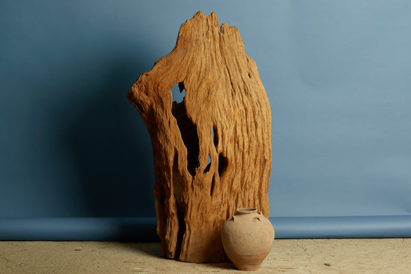 Natural Eroded Teak Sculpture
