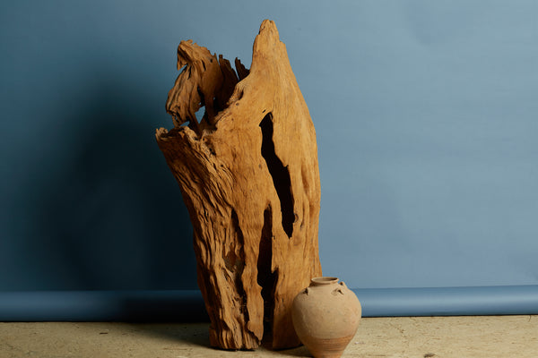 Natural Eroded Teak Sculpture
