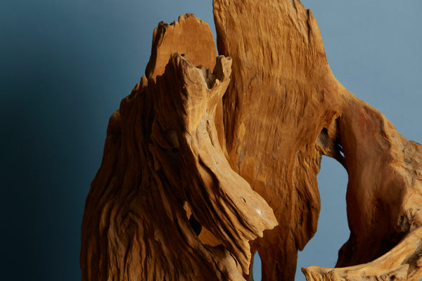Natural Eroded Teak Sculpture