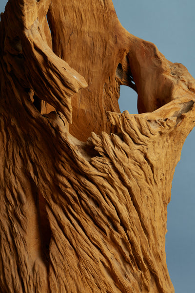Natural Eroded Teak Sculpture