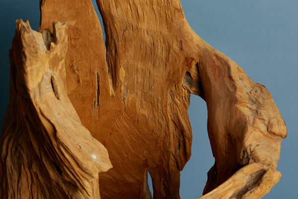 Natural Eroded Teak Sculpture