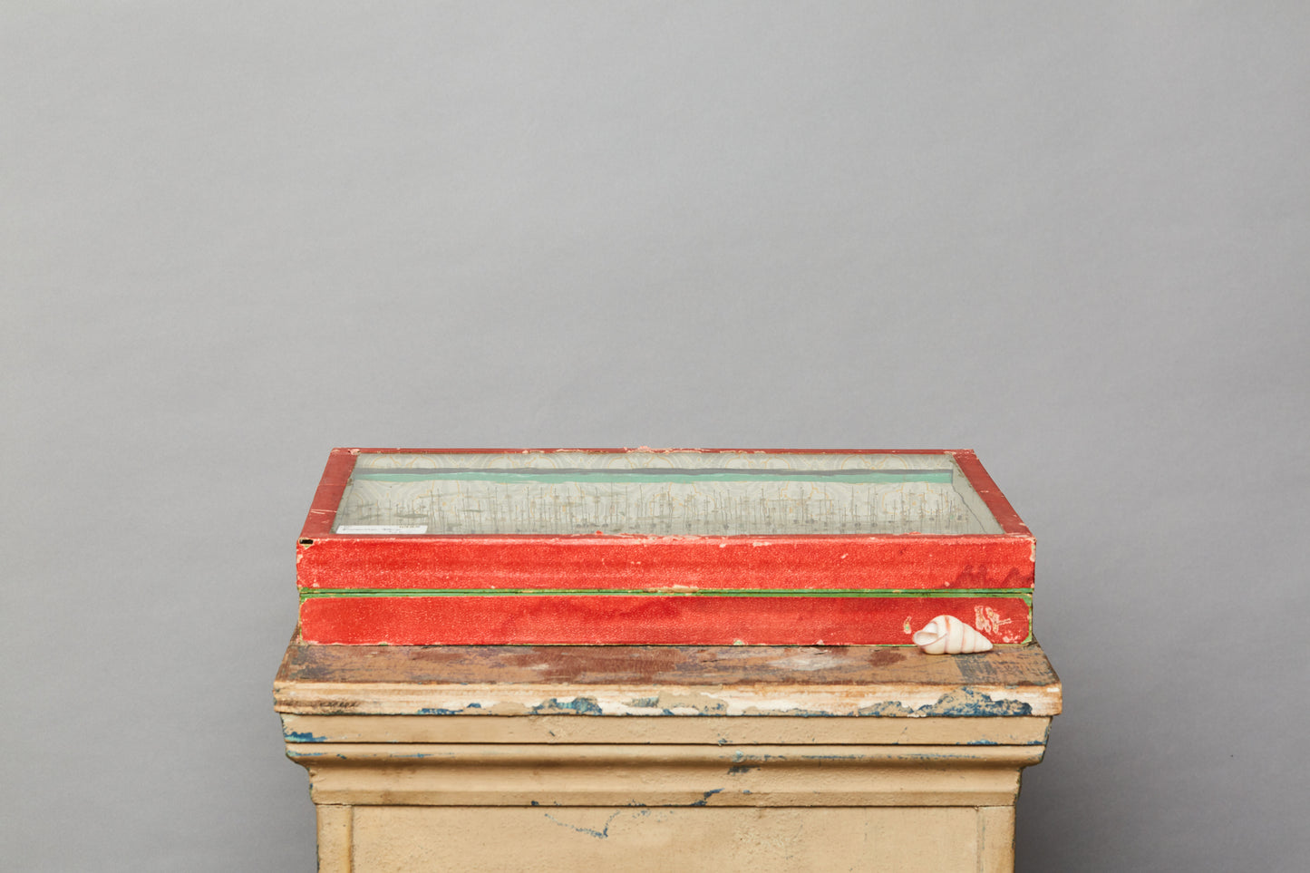 French Beetle Collection from Avignon