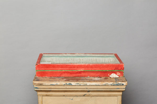 French Beetle Collection from Avignon