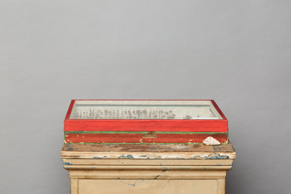 French Beetle Collection from Avignon