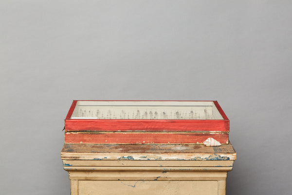 French Beetle Collection from Avignon