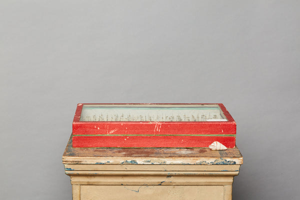 French Beetle Collection from Avignon