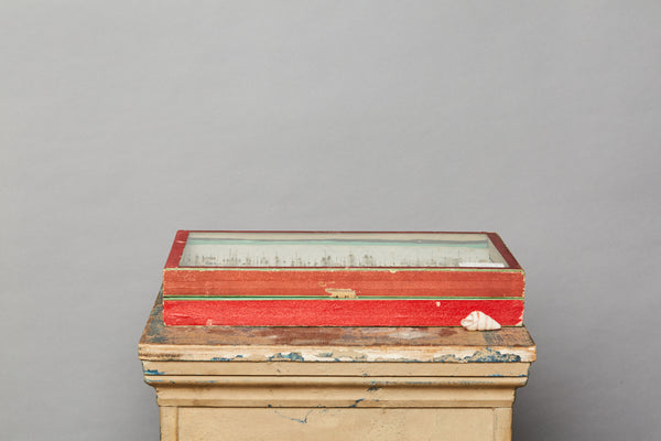 French Beetle Collection from Avignon