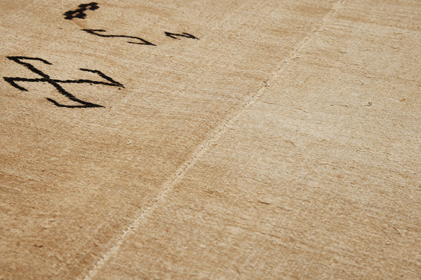 Medium 2 Piece Early Hemp Carpet  (4' 3'' x 12' 10'')