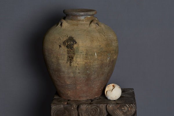 Large 17th Century Vietnamese Shipwreck Jar made for the Spice Trade