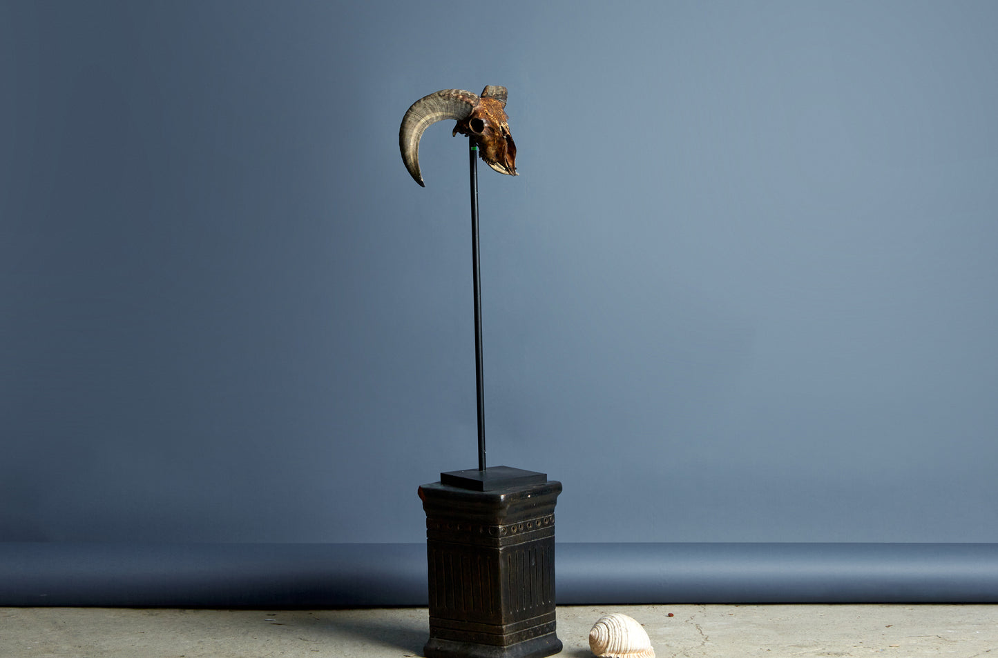 Mounted Rams Skull from Borneo Carved Decoration