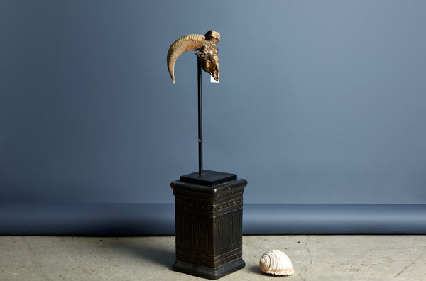 Mounted Rams Skull from Borneo Carved Decoration