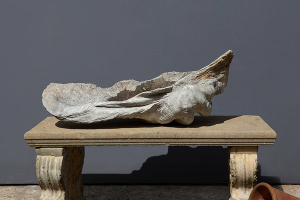 Large Fossilized Giant Clam Shell