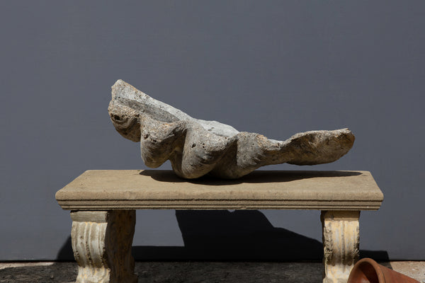 Large Fossilized Giant Clam Shell