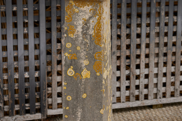 Early 19th Century Limestone Pedestal with Beautiful Lichen Patination