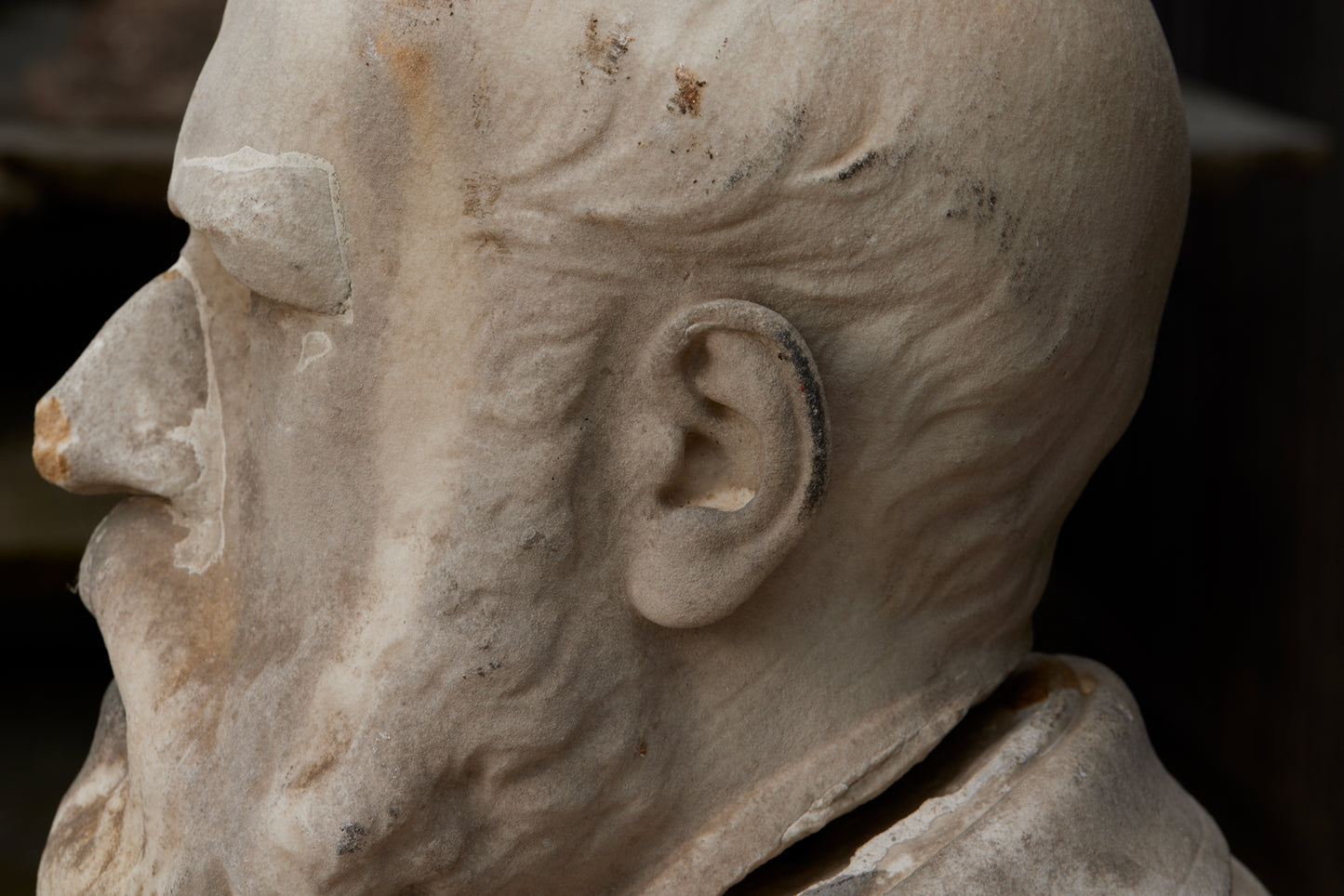 Carved French White Marble Bust of Dutch/Flemish Statesman Dostriez