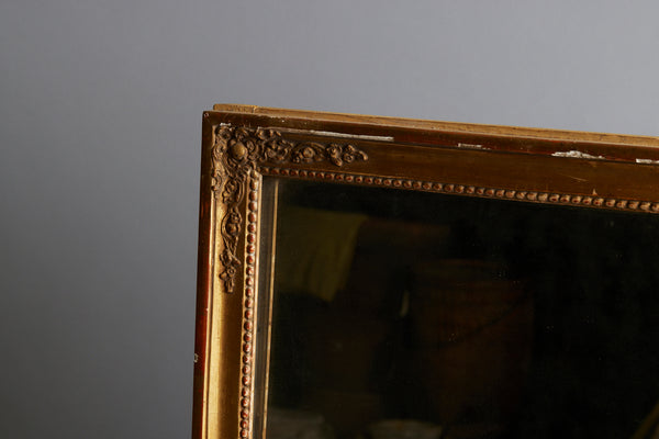 19th Century French Gilt Rectangular Mirror with Full Mercury Glass