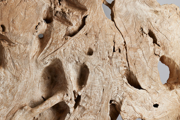 19th Century Ancient Teak Root from a Monastery in East Java