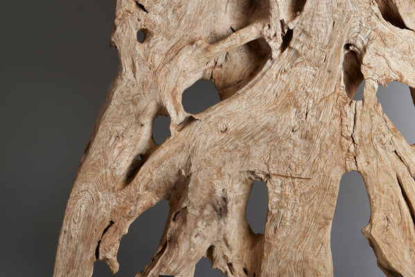 19th Century Ancient Teak Root from a Monastery in East Java