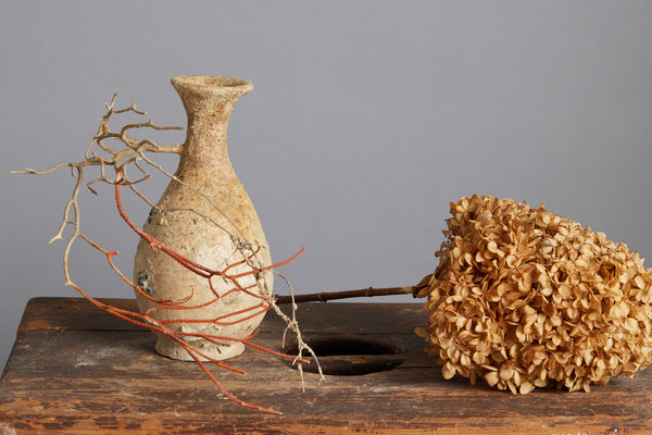 Large Sawankhalok Bottle with Attached Red Coral