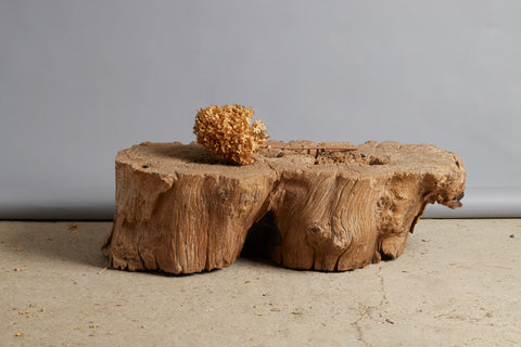 Ancient Natural Teak Coffee Table Bench