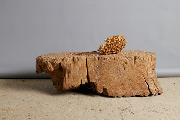 Ancient Natural Teak Coffee Table Bench