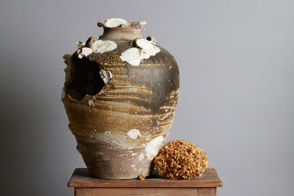 Very Large Sawankhalok Storage Jar with Shell Encrustations