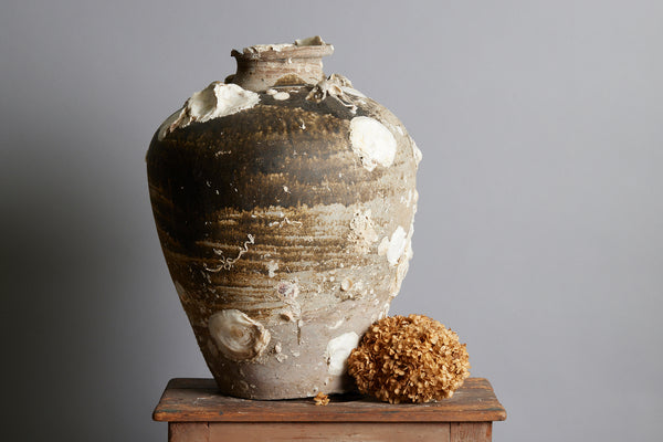 Very Large Sawankhalok Storage Jar with Shell Encrustations