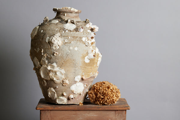 Very Large Sawankhalok Storage Jar with Shell Encrustations