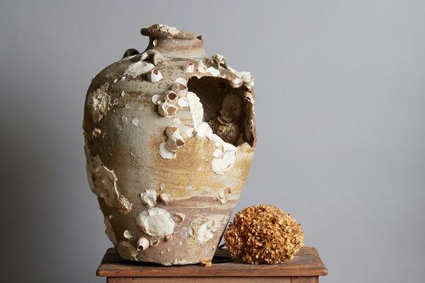 Very Large Sawankhalok Storage Jar with Shell Encrustations