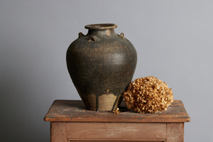 Early Brown & Tan Sawankhalok Storage Container from the Spice Trade